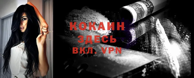 OMG tor  Дигора  Кокаин VHQ 